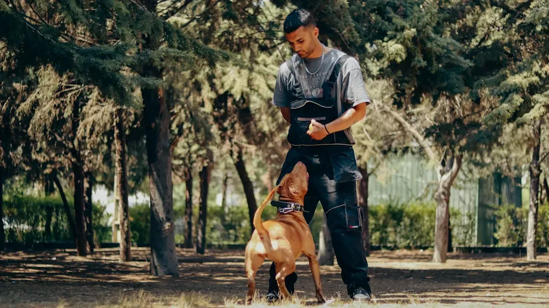 2. Yelling at Your Dog (Image Credits: Unsplash)