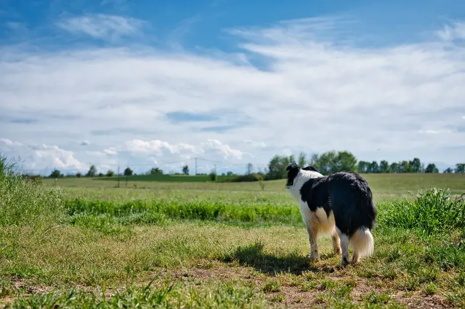 #10 - Weather and Pressure Changes Before the Storm Ever Hits (Image Credits: Pexels)