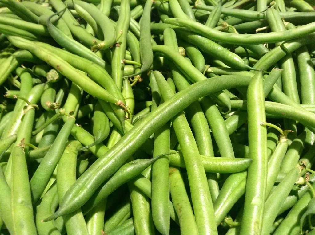 #10. Green Beans (JeepersMedia, Flickr, CC BY 2.0)