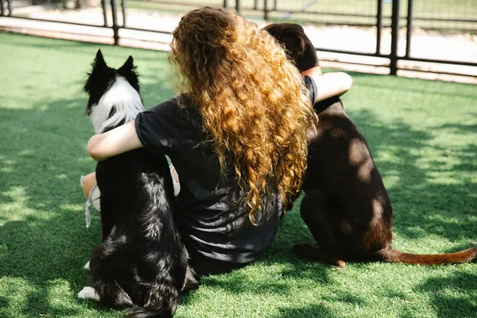 #4 - Your Goodbye Can Wreck Your Dog's Whole Stay in Sixty Seconds (Image Credits: Pexels)