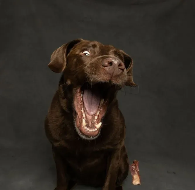 2 - The Sound of Your Laughter (Image Credits: Pexels)