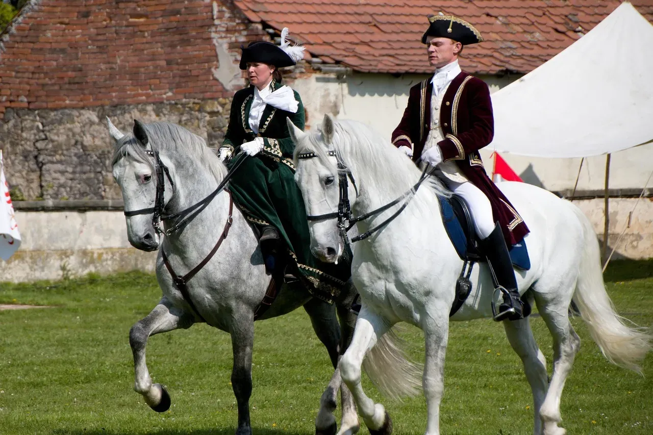 5. Andalusian and Lusitano: Baroque Beauty With Premium Upkeep (Image Credits: Pixabay)