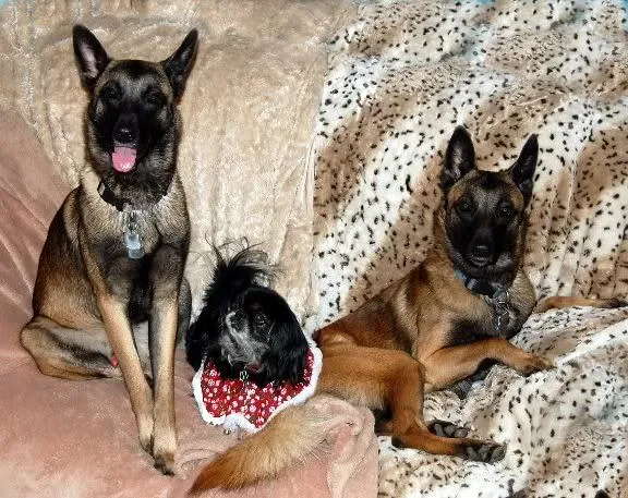 Cancer: The Nurturing Guardian (Image Credits: Flickr)