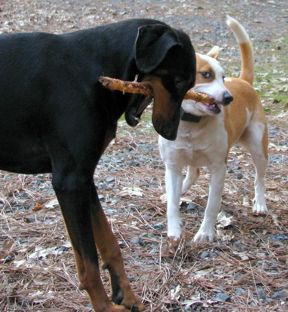 When Jealousy Becomes a Problem (Image Credits: Flickr)