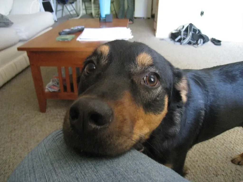 When to Pay Closer Attention (Image Credits: Flickr)