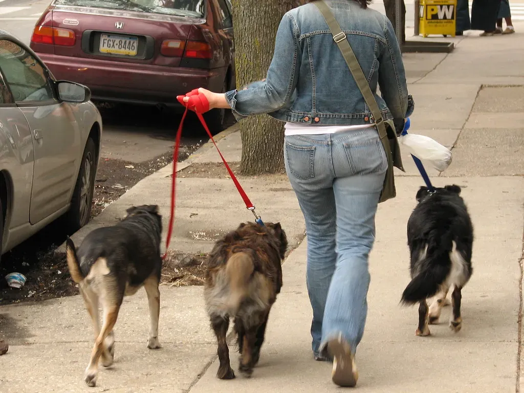 Walks Build Community, Connection, and Bonds That Last (Edu-Tourist, Flickr, CC BY-SA 2.0)