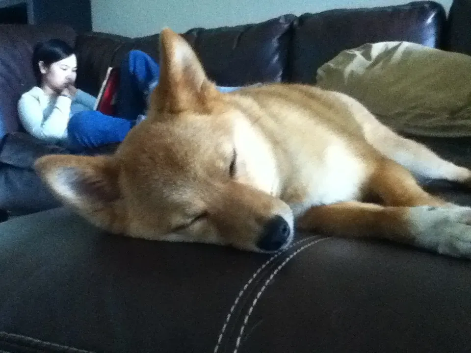 6. Leg Weaves (_tar0_, Flickr, CC BY 2.0)