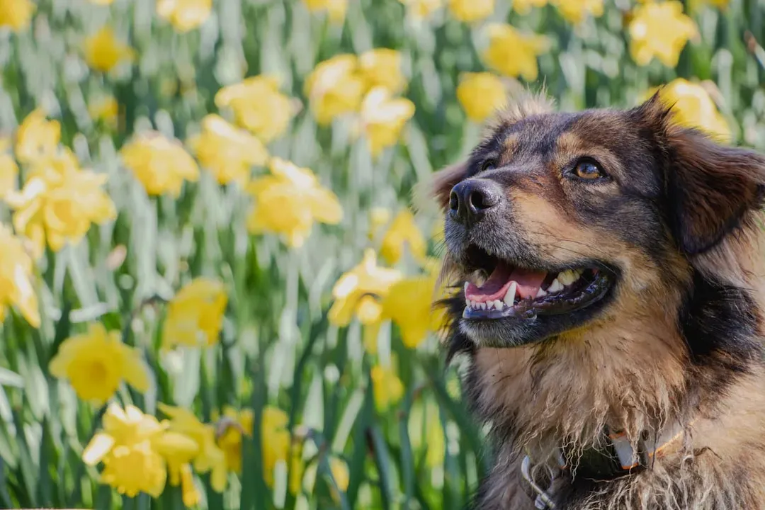 #10. They Show Spring "Fever" Behavior (Image Credits: Unsplash)