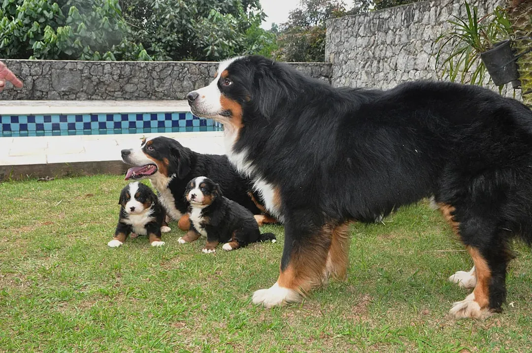 Consistency Is Your Superpower (or Your Kryptonite) (Image Credits: Unsplash)