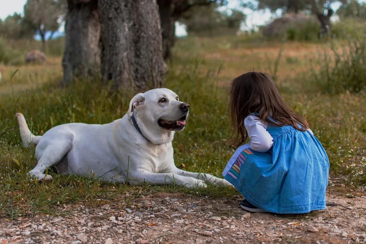 15. Forcing Interactions Your Dog Hasn't Consented To (Image Credits: Pixabay)