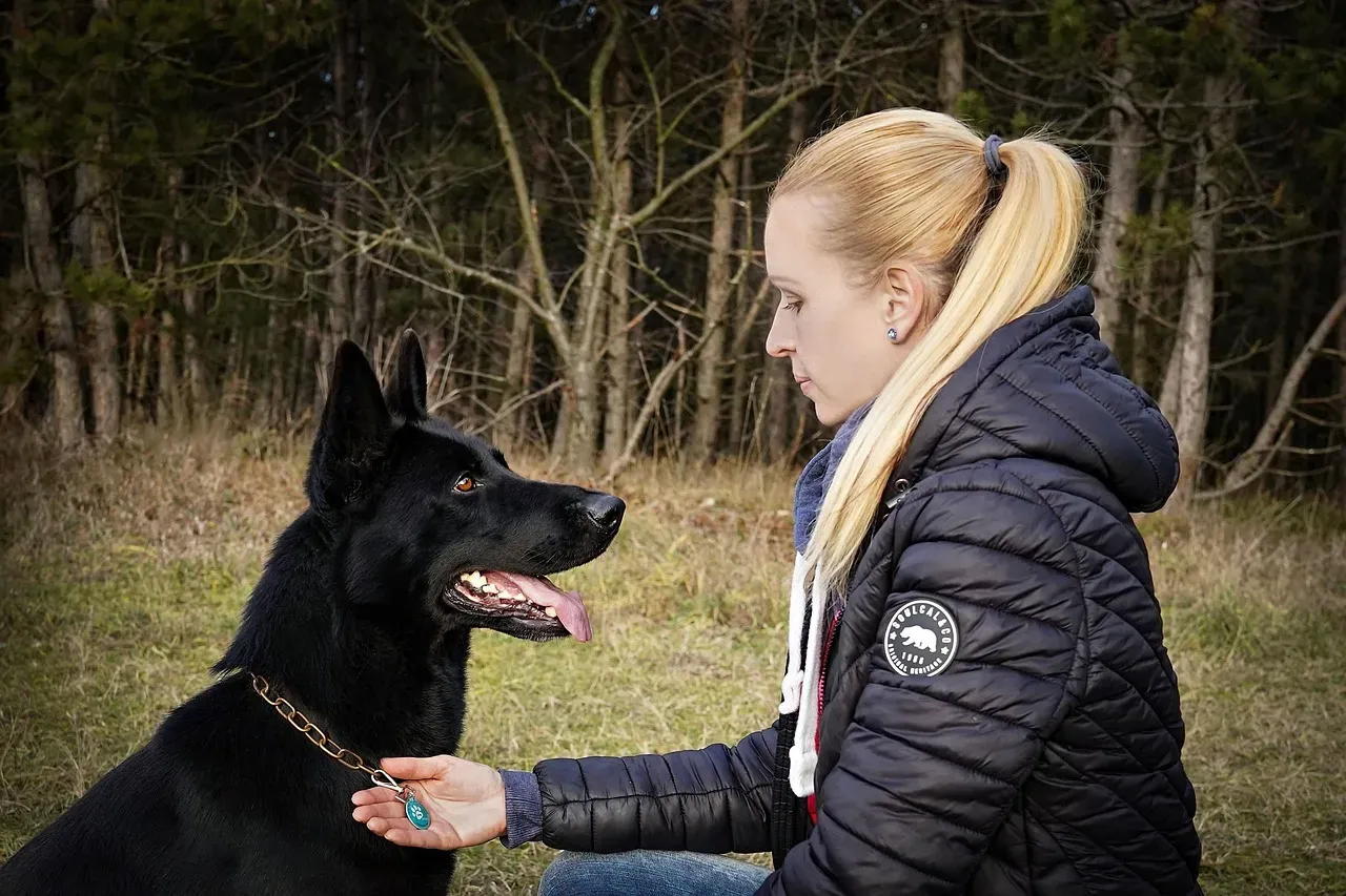 5. Caucasian Shepherd Dog: The Bear's Worst Nightmare (Image Credits: Pixabay)