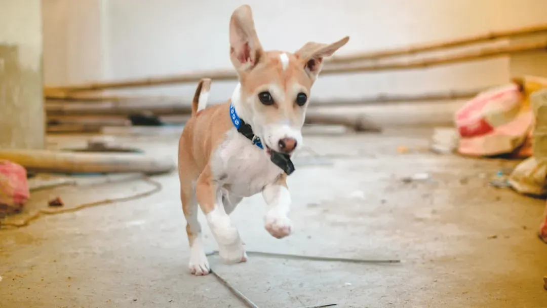 8. Batteries (Image Credits: Unsplash)