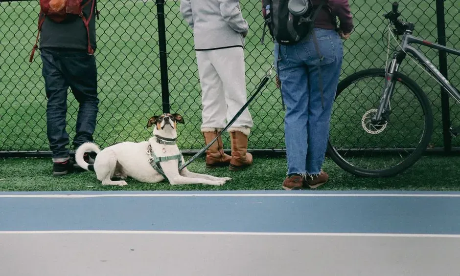 #5 - Which Human Is Going to Move First (Image Credits: Pexels)