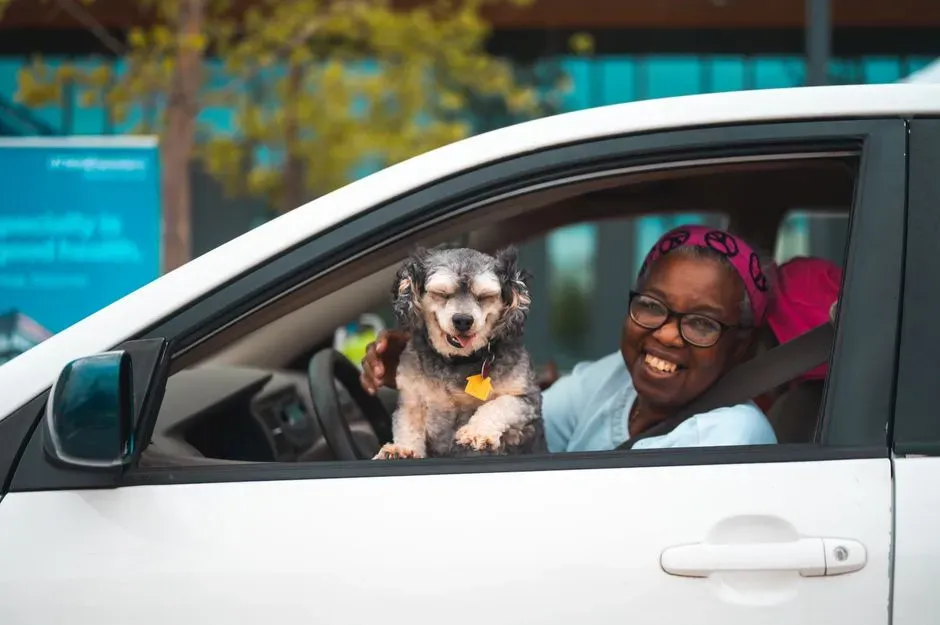 6. They Notice the Shorter Car Rides - And Different Destinations (Image Credits: Pexels)