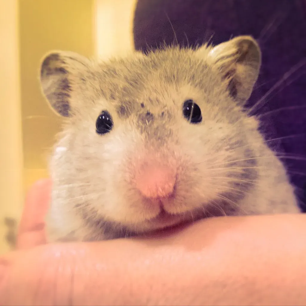 Conclusion (Image Credits: Flickr)