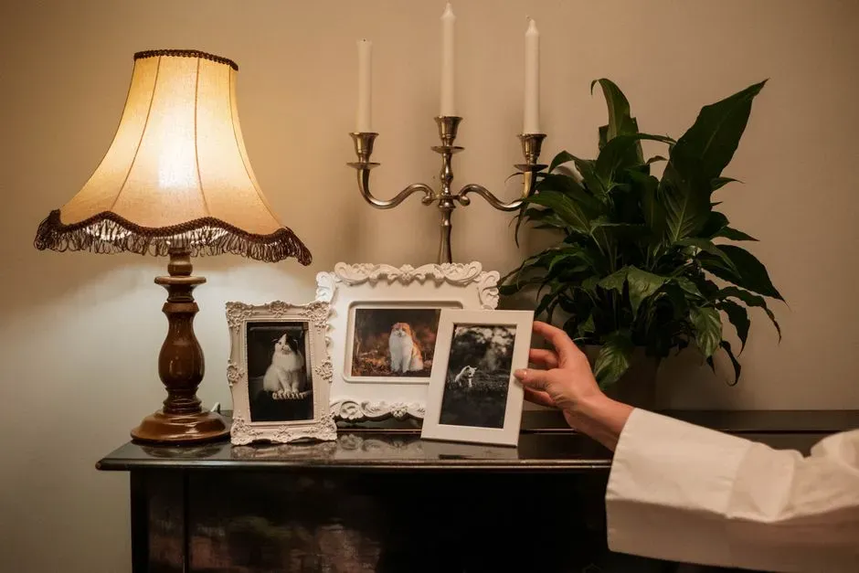 #12 - Old Photos and Memorials of Past Pets (Image Credits: Pexels)