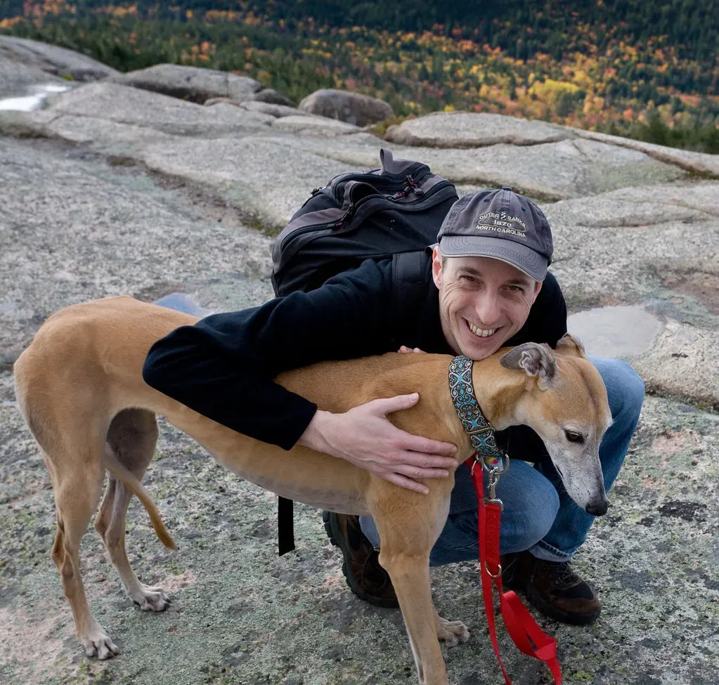 4. Greyhound: The Elegant Heat Handler (liza31337, Flickr, CC BY 2.0)