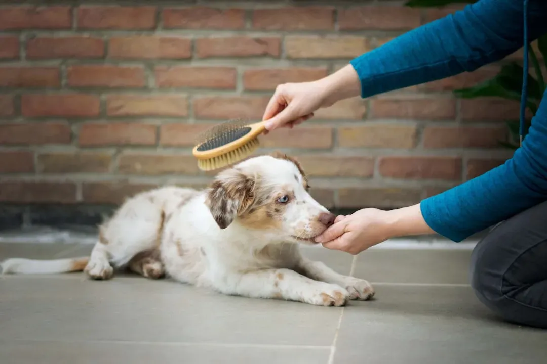 #1 - The "Emotional Echo" of Your Shared Rituals Lasts for Years (Image Credits: Unsplash)