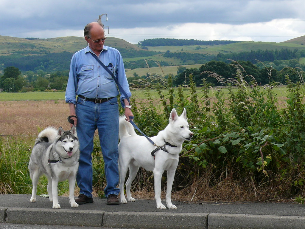 Leo: The Proud Show-Off Parent (Image Credits: Flickr)