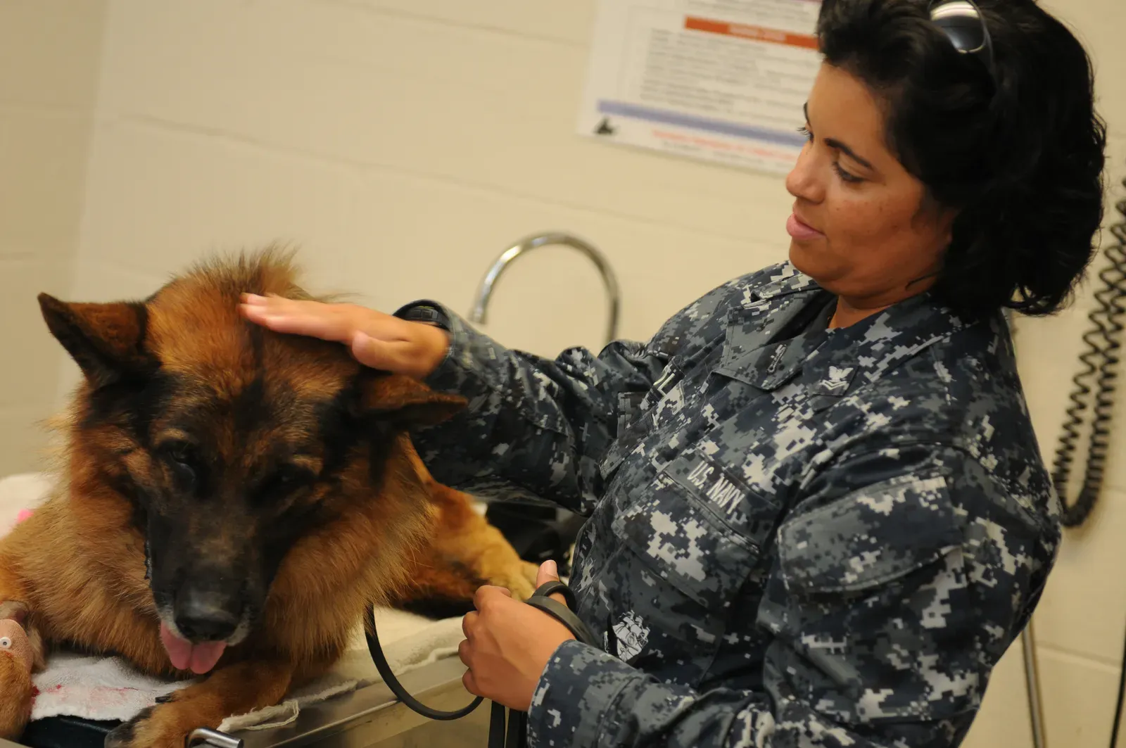 11. Calm, Patient Reactions to Fear (Image Credits: Wikimedia)