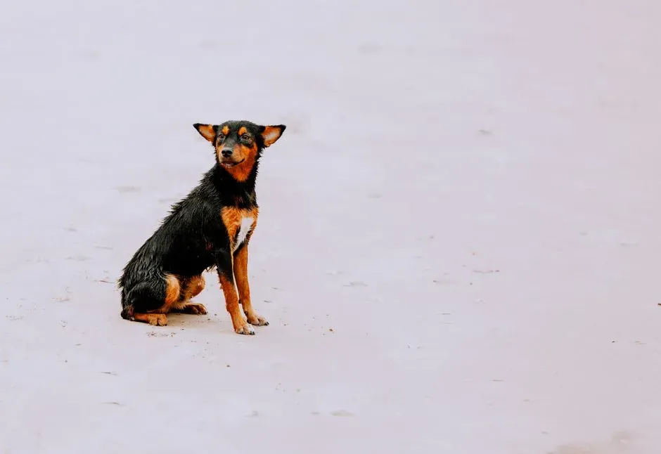 #3 - Alone Time Stops Feeling Like Abandonment (Image Credits: Pexels)