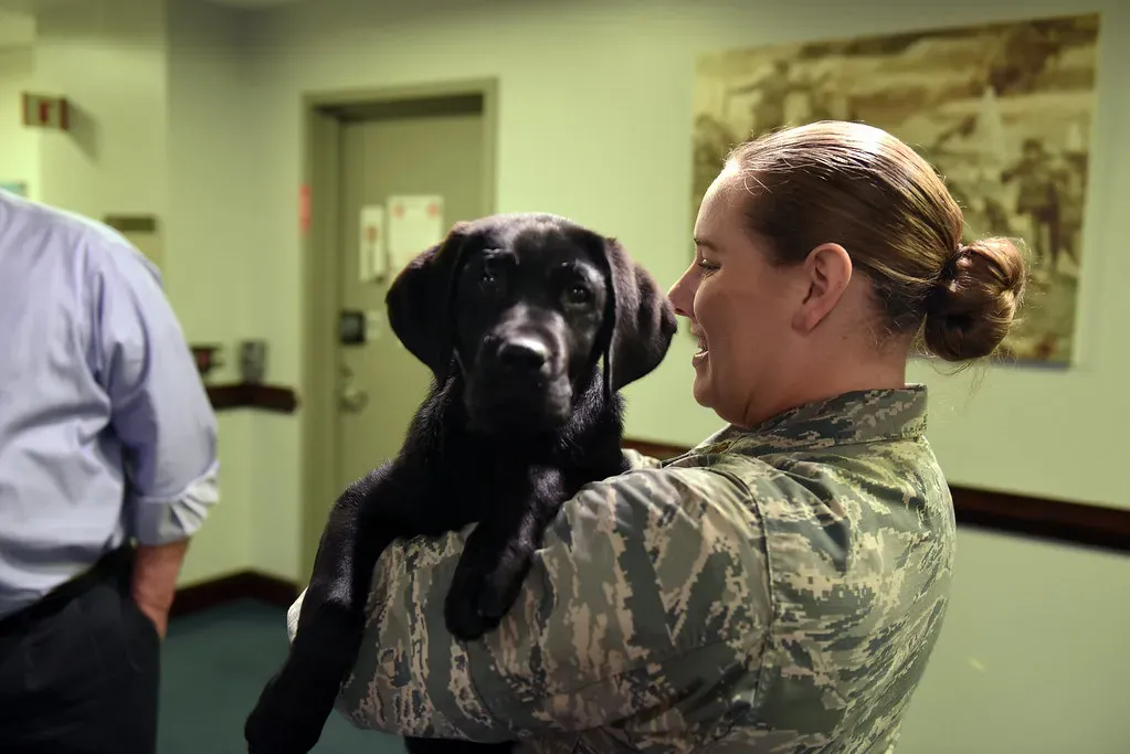 Practice Handling at Home Before the Appointment (Image Credits: Flickr)