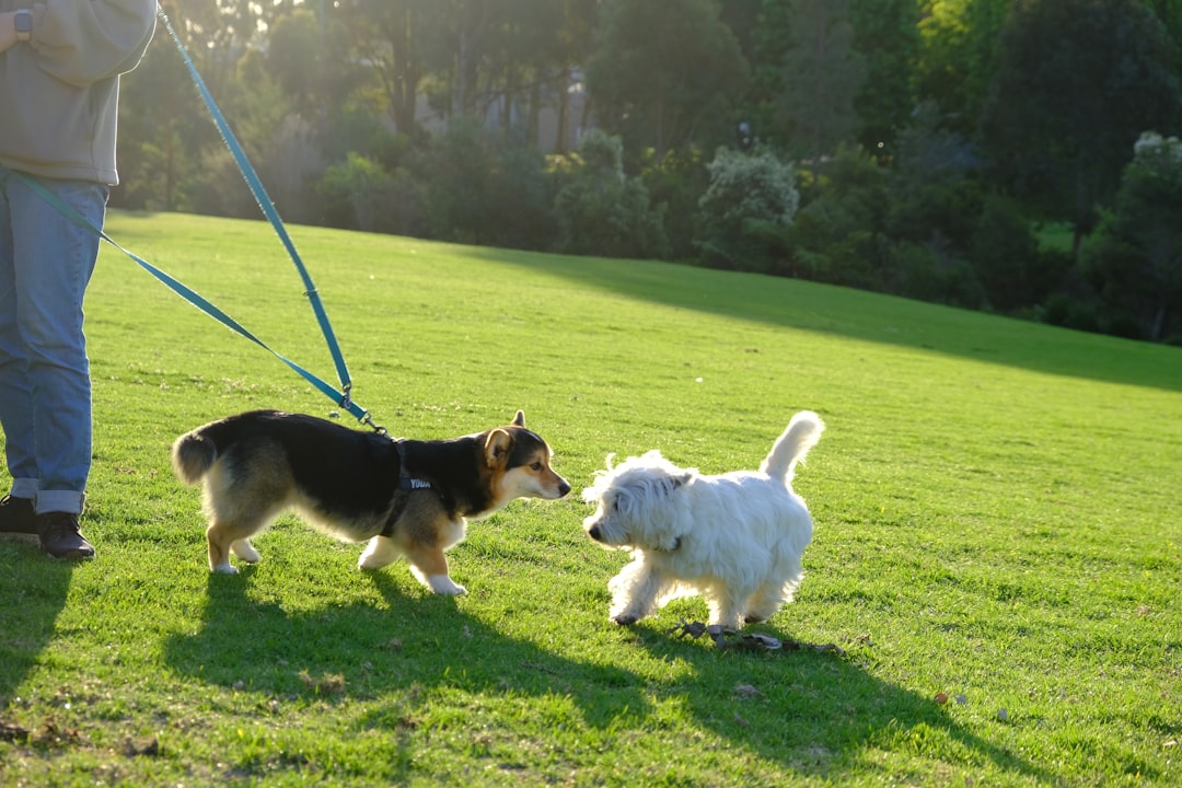 Teaching Respect for Personal Space (Image Credits: Unsplash)
