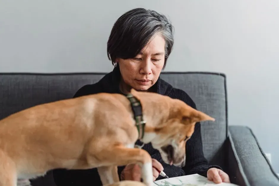 Smelling Emotions: How Dogs Pick Up on Stress, Fear, and Joy (Image Credits: Pexels)