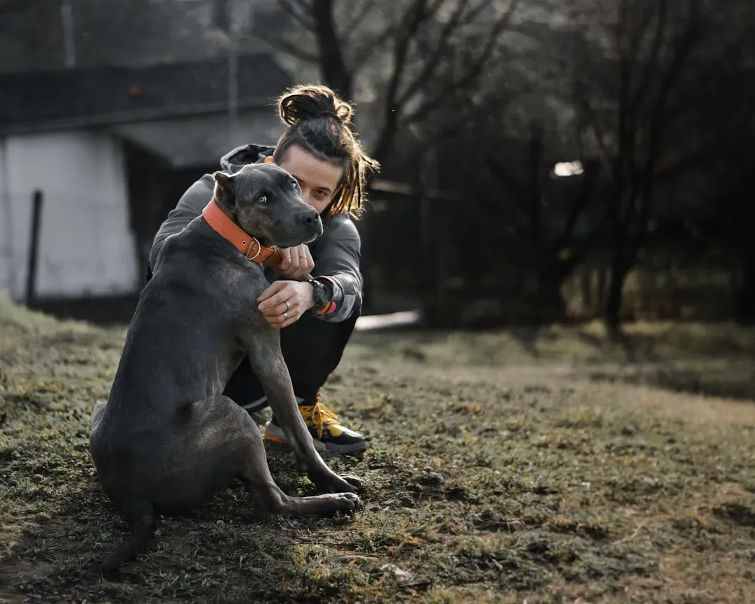 Conclusion (Image Credits: Unsplash)