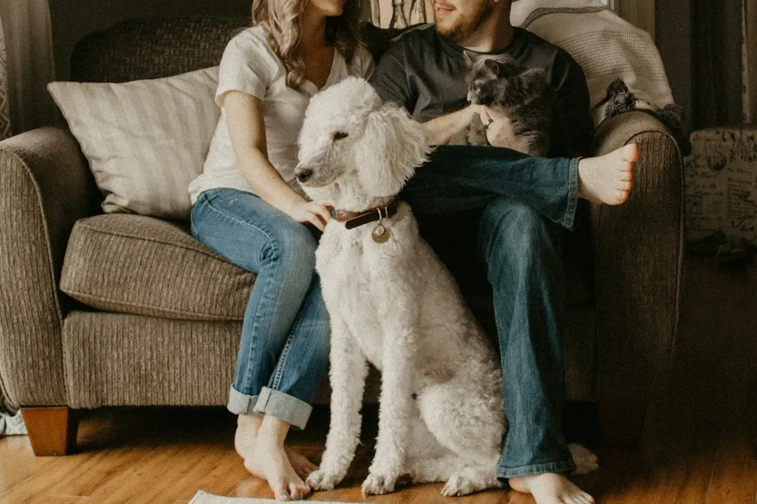 #9 The Underlying Family Dynamics and Communication Style (Image Credits: Unsplash)