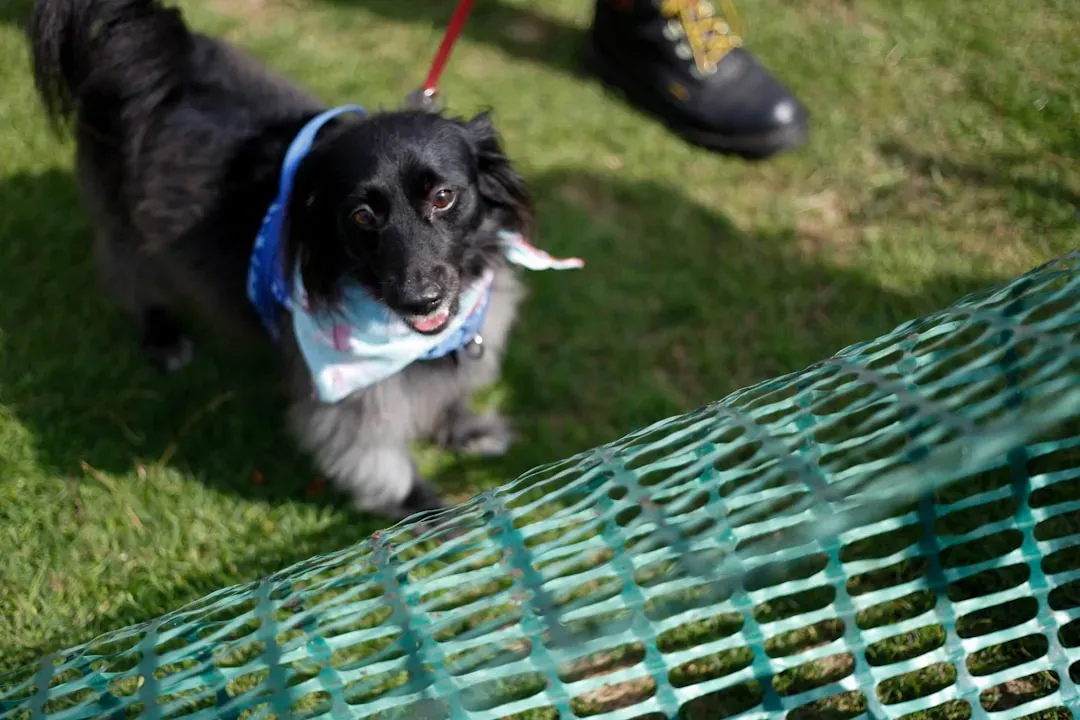 Mental Stimulation You Can Sneak Into Everyday Life (Image Credits: Unsplash)