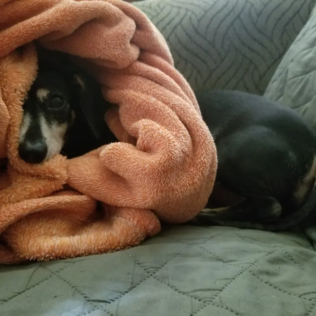 Conclusion (Image Credits: Flickr)