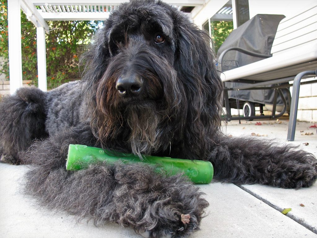 Past Experiences Created Negative Associations (Image Credits: Flickr)