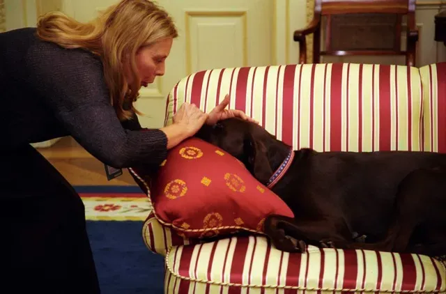 4. Why Our Hands Are So Unpredictable (White House Photograph Office and Sharon Farmer, “Joni Mitchell,” Clinton Digital Library, accessed September 10, 2016, http://clinton.presidentiallibraries.us/items/show/48195., Public domain)