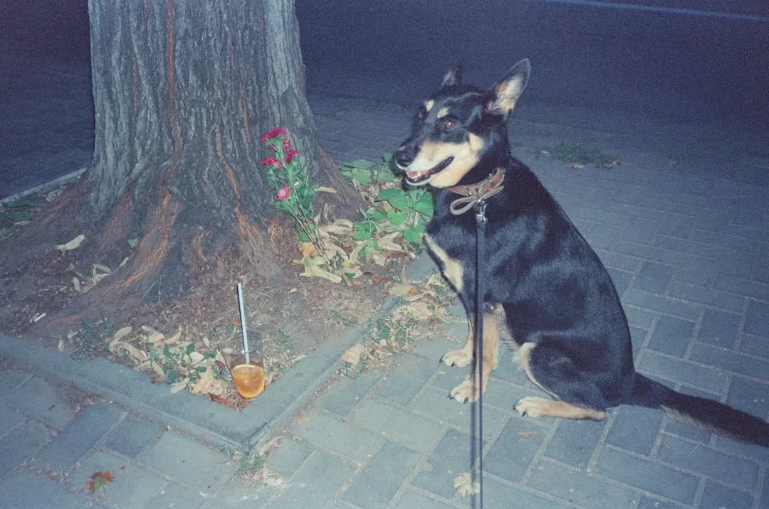 Punishment Can Make Behavior Problems Worse (Image Credits: Unsplash)