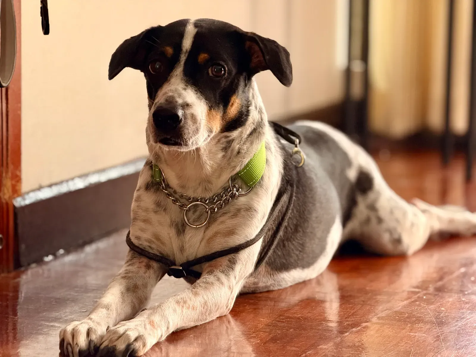 The Superman: Your Energetic, Unstoppable Go-Getter (By Slyronit, CC BY-SA 4.0)