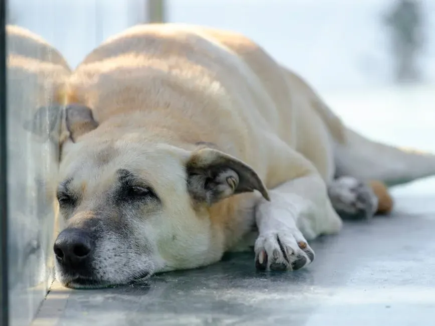 #1. They Become Almost Impossibly Still (Image Credits: Pexels)