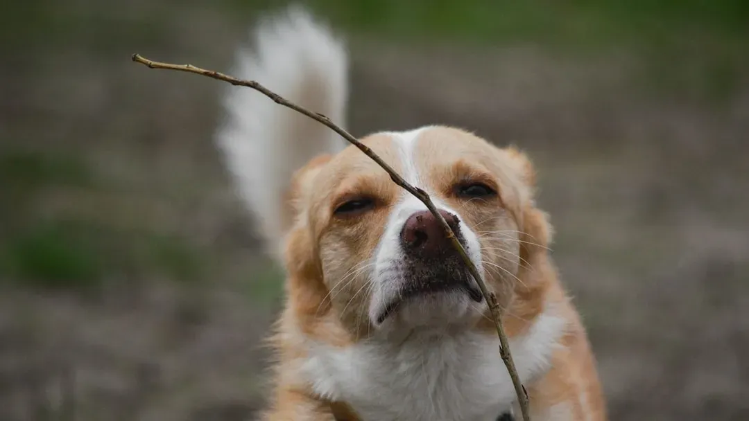 Punishment Creates More Problems Than It Solves (Image Credits: Unsplash)