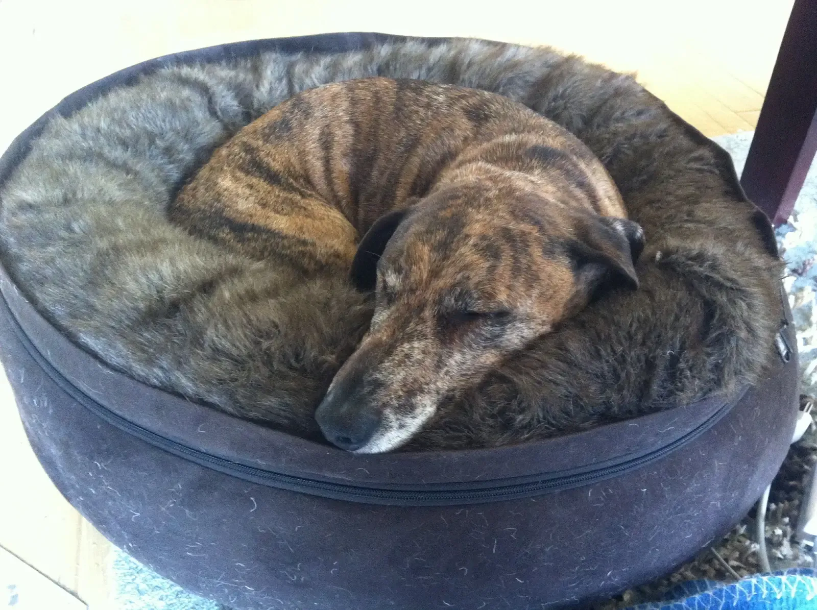 Temperature Control and Comfort (Image Credits: Wikimedia)