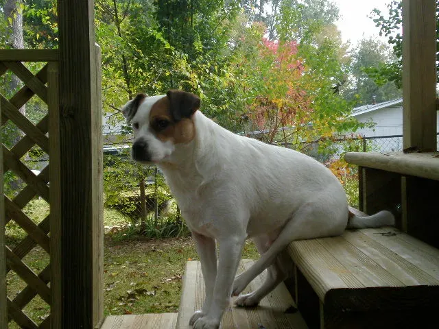 New Orleans: Recovery from Disaster (Image Credits: Flickr)