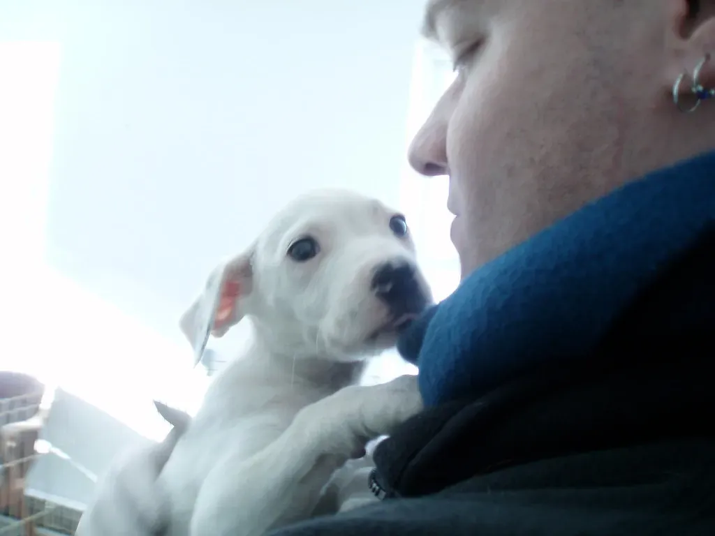 The Sob Story That Plays on Your Kindness (Image Credits: Flickr)