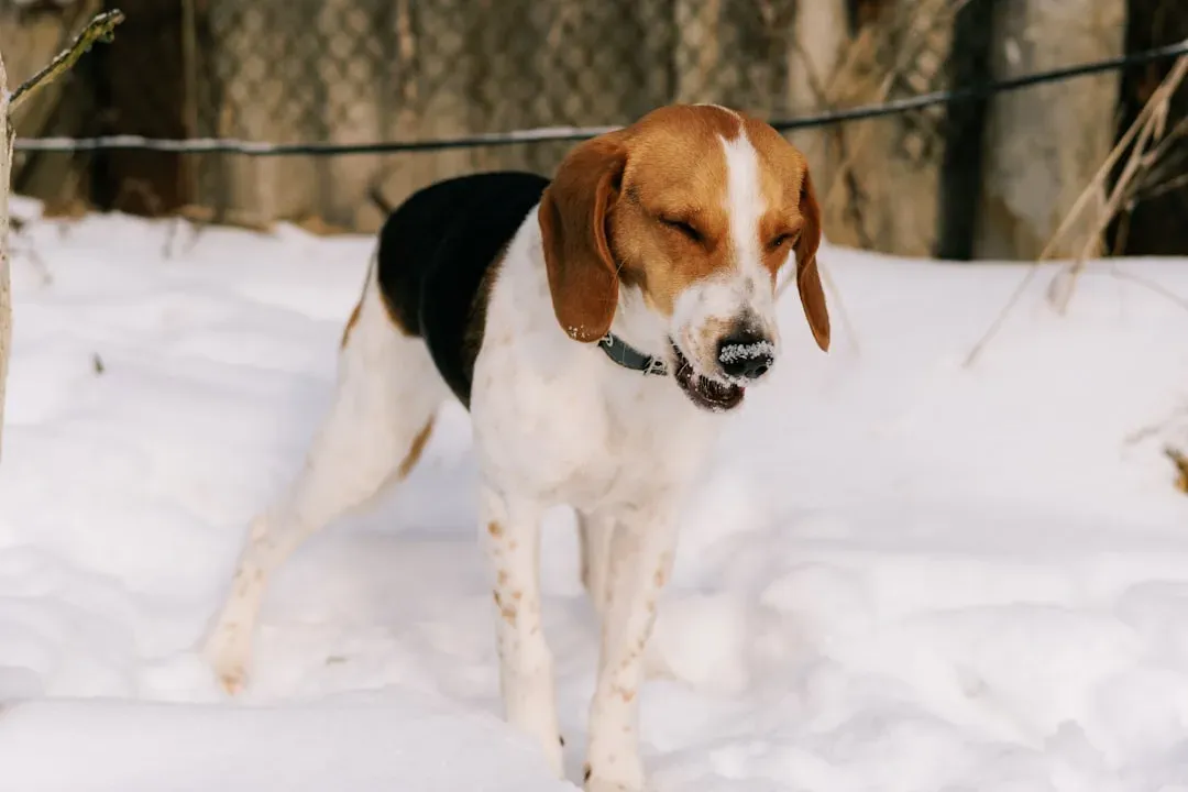 5. They Freeze or Go Completely Still (Image Credits: Unsplash)