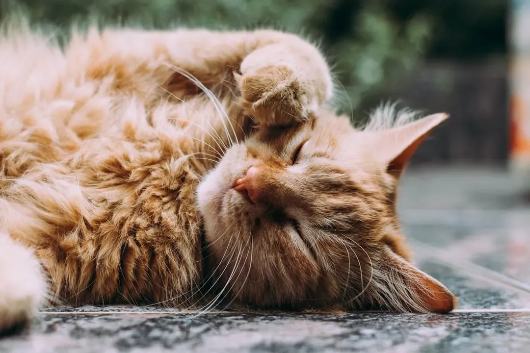 They Trust You to Have Chosen the Best Spot (Image Credits: Unsplash)