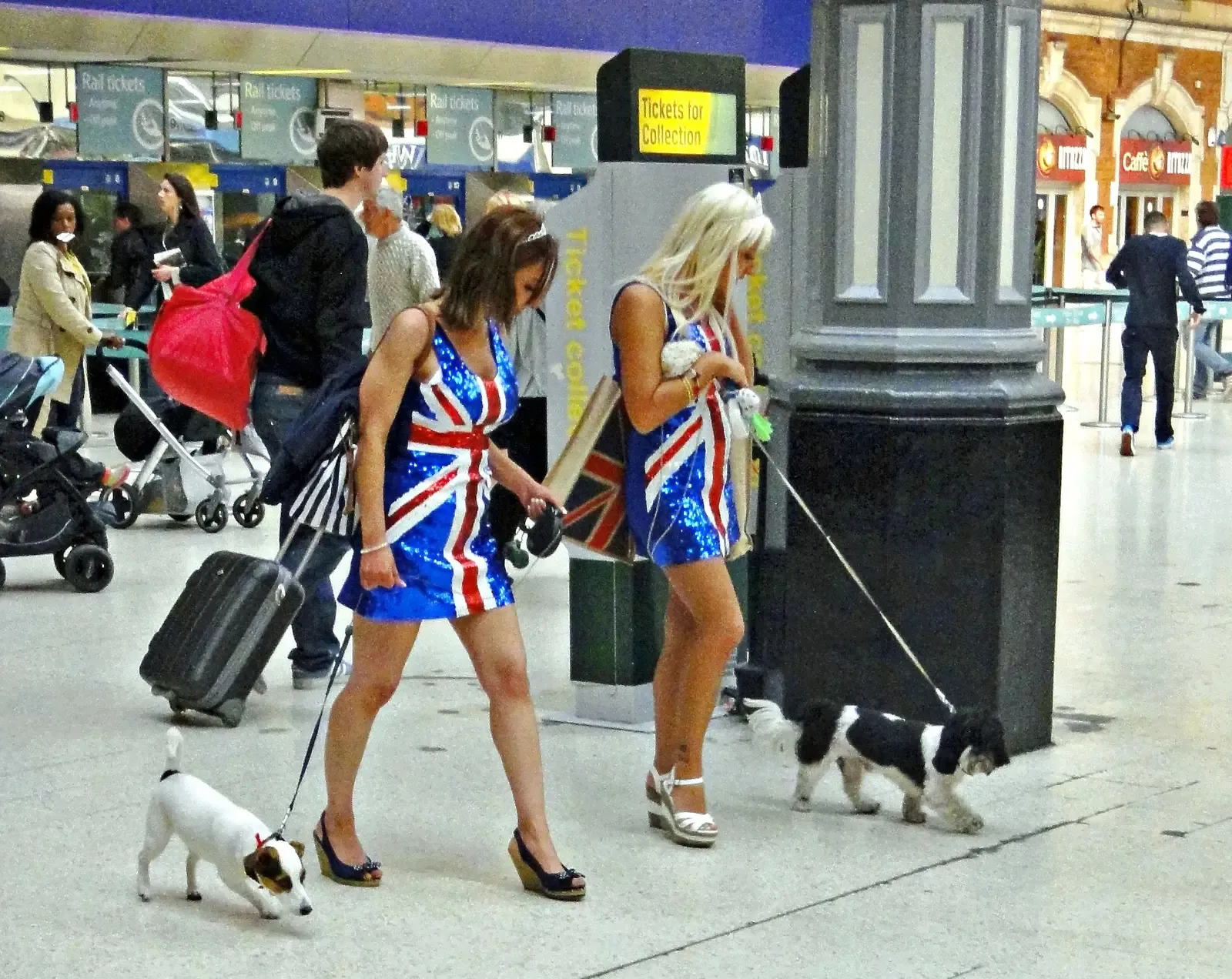 Believing Another Dog Will Fix Everything (Image Credits: Wikimedia)