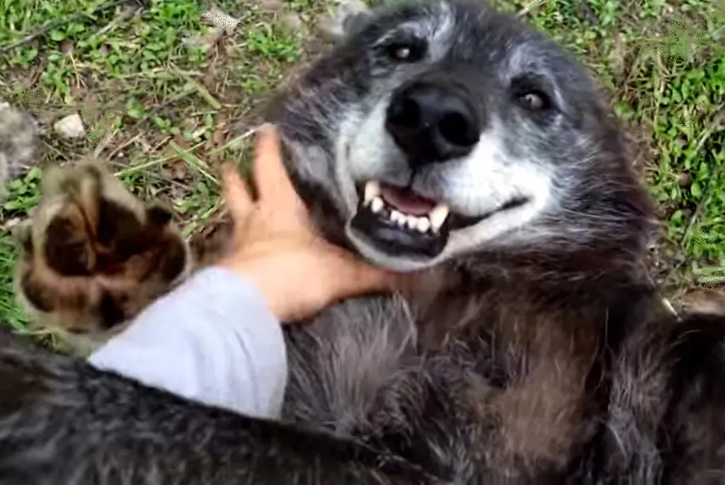 Conclusion (Image Credits: Flickr)