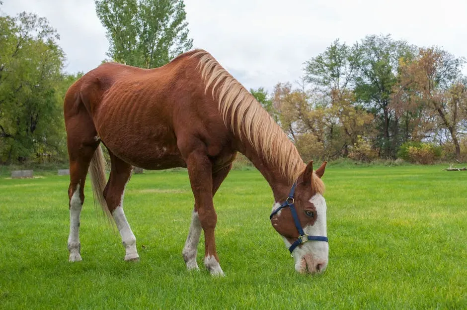 4. The Moment a Rescue Horse Reaches Out to You First (Image Credits: Pexels)