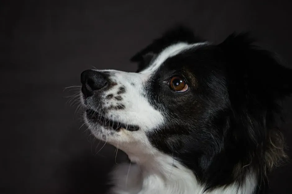 #8: Avoiding Eye Contact or Turning Away Entirely (Image Credits: Pexels)