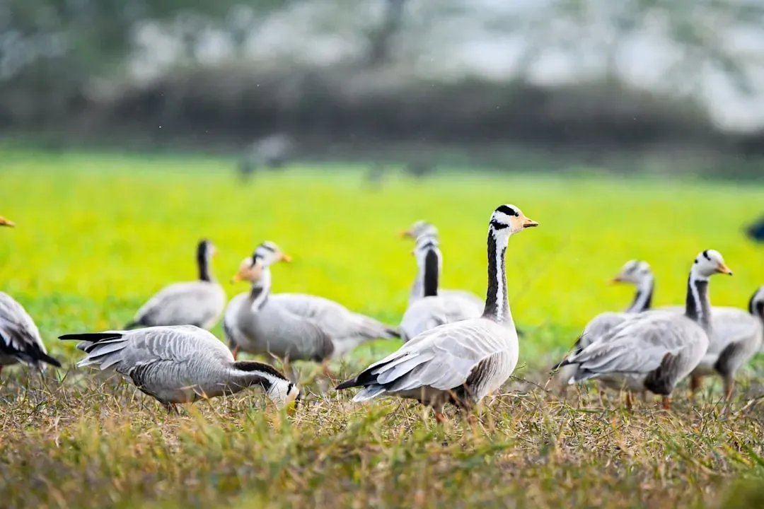 The Incredible Body: Built-In Physiological Tools for Impossible Places (Image Credits: Unsplash)