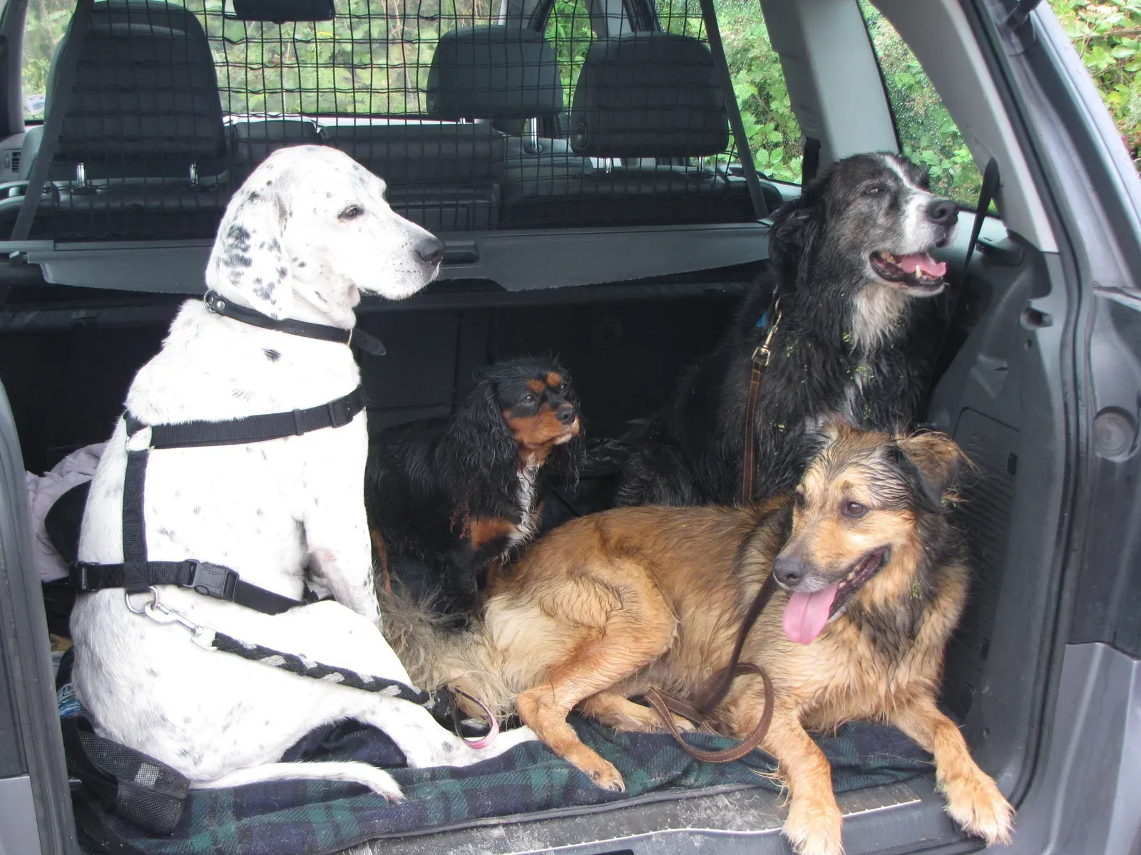 Final Thoughts: Safe Travels Start With You (By Traveler100, CC BY-SA 3.0)