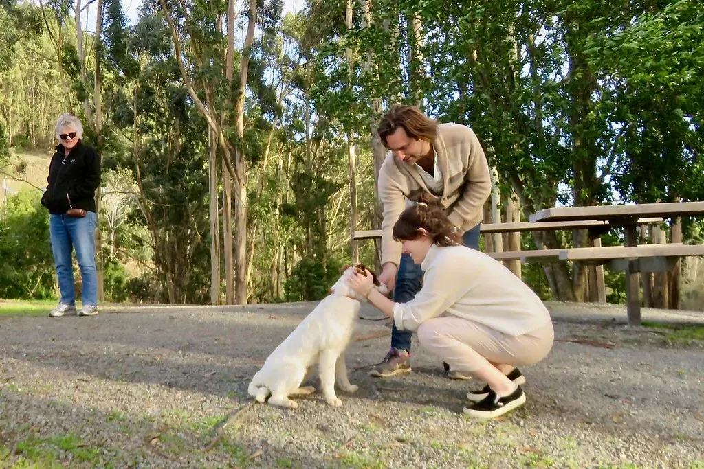 The Long-Term Commitment Reality (Image Credits: Flickr)